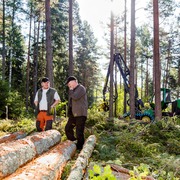 Skogsförvaltare och entreprenör. Foto: Thomas Adolfsén